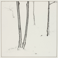 Simon%20Norfolk%2C%20%3Cb%3E%3Ci%3E%20Armenia%3A%20After%20A%20Snowstorm%2C%20from%20the%20series%20For%20Most%20of%20It%20I%20Have%20No%20Words...Genocide%2C%20Landscape%2C%20Memory%3C%2Fi%3E%3C%2Fb%3E%2C%201998%2C%20gelatin%20silver%20print%2C%20Museum%20Purchase%3A%20Jessie%20Jonas%20Charitable%20Fund%2C%20%26%23169%3B%20Simon%20Norfolk%2C%201999.78.44